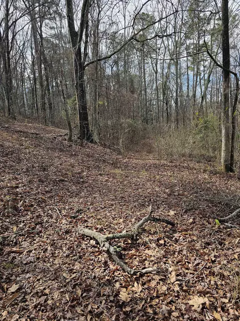 165 B And B Rd, Pacolet, SC 29372 photo 8
