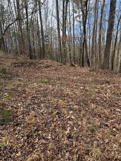 165 B And B Rd, Pacolet, SC 29372 photo 10