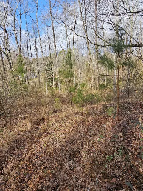 165 B And B Rd, Pacolet, SC 29372 photo 9