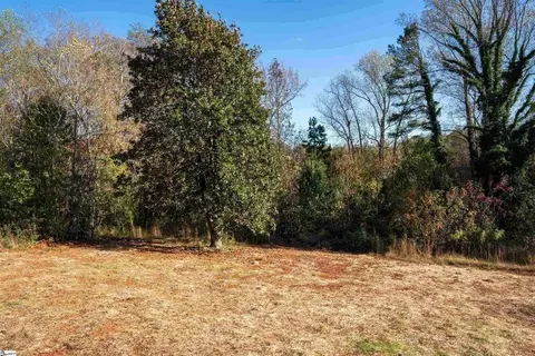171 Riverbluff Ext, Inman, SC 29349 photo 26
