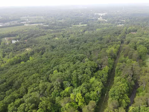 0 Whitaker Mtn Rd, Blacksburg, SC 29702