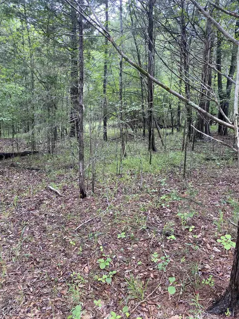 0 Old River Rd, Pacolet, SC 29372 photo 3