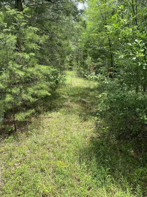 0 Old River Rd, Pacolet, SC 29372 photo 4