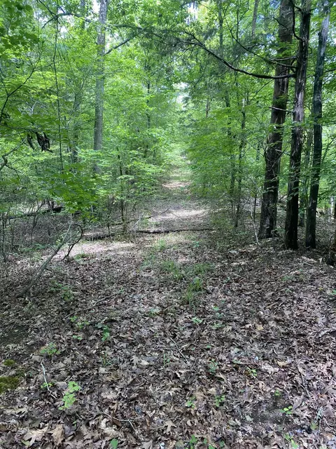 0 Old River Rd, Pacolet, SC 29372 photo 9