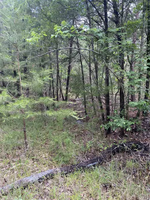 0 Old River Rd, Pacolet, SC 29372 photo 2