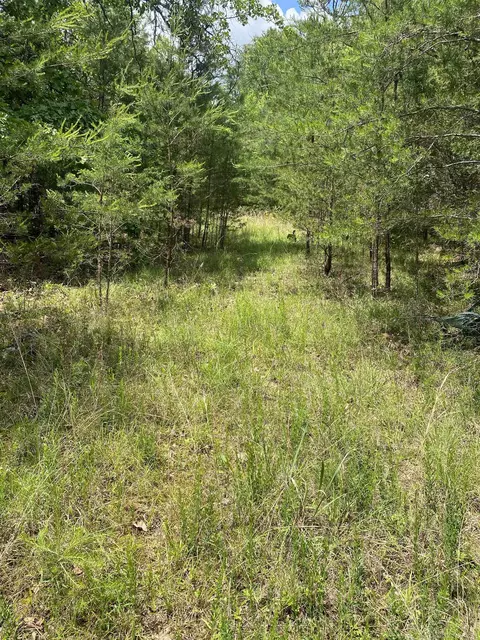 0 Old River Rd, Pacolet, SC 29372 photo 10