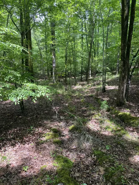 0 Old River Rd, Pacolet, SC 29372 photo 7