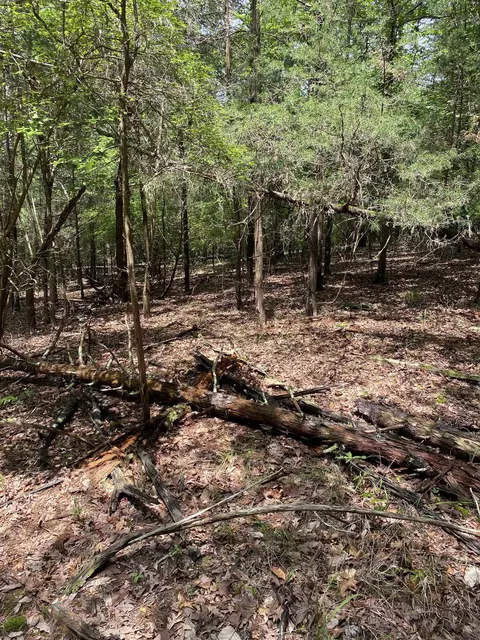 0 Old River Rd, Pacolet, SC 29372 photo 6