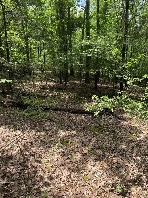 0 Old River Rd, Pacolet, SC 29372 photo 5