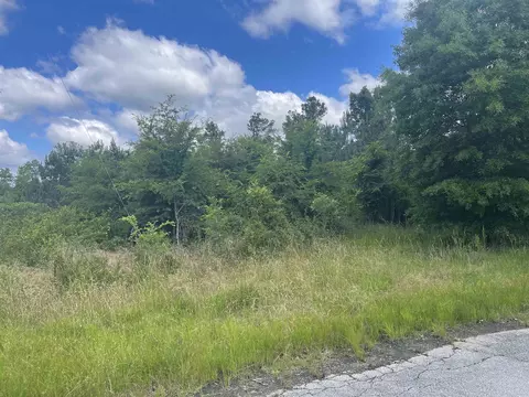 Forest Dr., Carlisle, SC 29031 photo 2