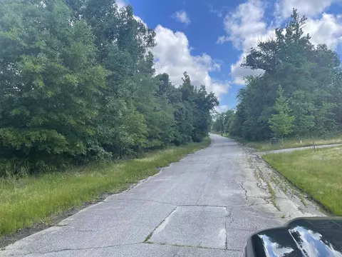 Forest Dr., Carlisle, SC 29031 photo 3