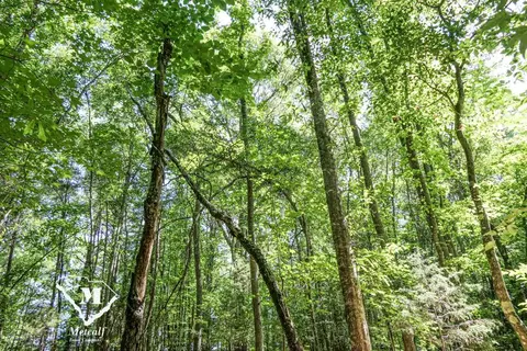 State Road, Roebuck, SC 29376 photo 8