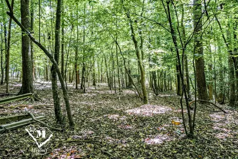 State Road, Roebuck, SC 29376 photo 9