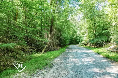 State Road, Roebuck, SC 29376 photo 10