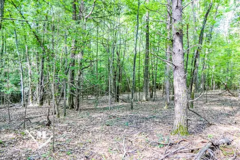 State Road, Roebuck, SC 29376 photo 6