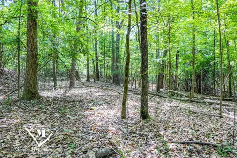 State Road, Roebuck, SC 29376 photo 7