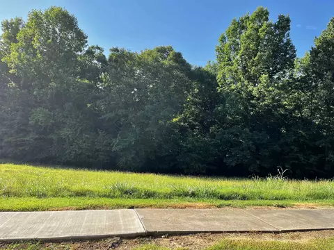 452 Congaree Rd, Roebuck, SC 29376 photo 2