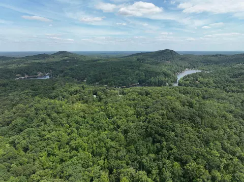 200 Maxorrick Loop, Landrum, SC 29356 photo 8