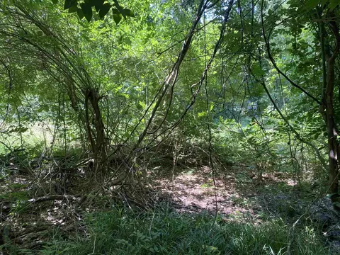 0 Fleming Cir, Enoree, SC 29335 photo 3