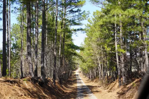200 Davis Jeter Rd, Union, SC 29379