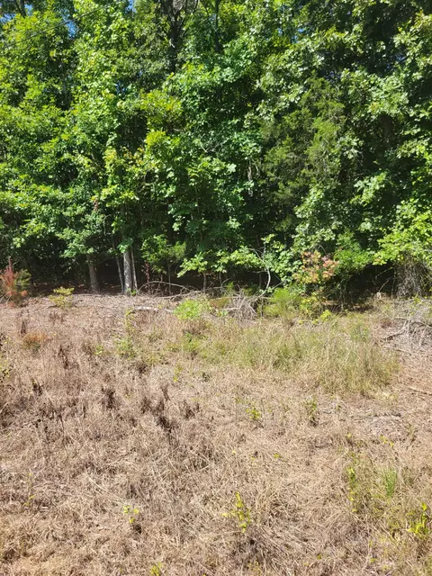 Plantation Trail, Pacolet, SC 29372 photo 2