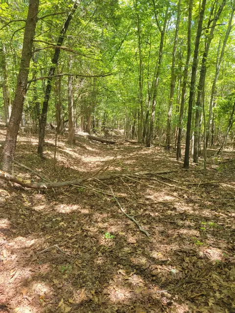 Plantation Trail, Pacolet, SC 29372 photo 14