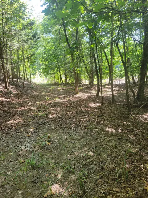 Plantation Trail, Pacolet, SC 29372 photo 5