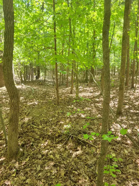 Plantation Trail, Pacolet, SC 29372 photo 9