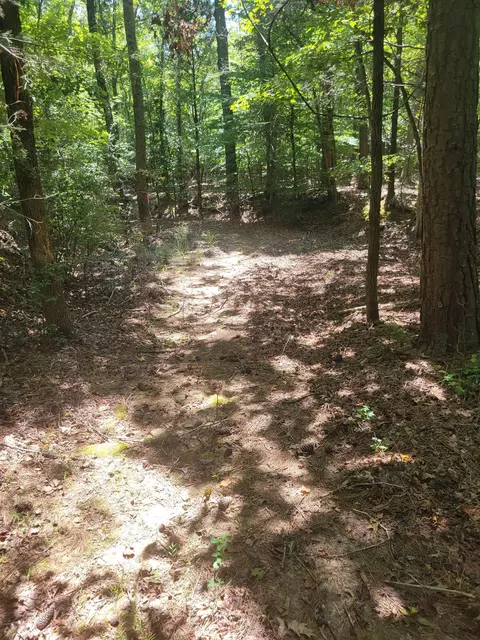 Plantation Trail, Pacolet, SC 29372 photo 7