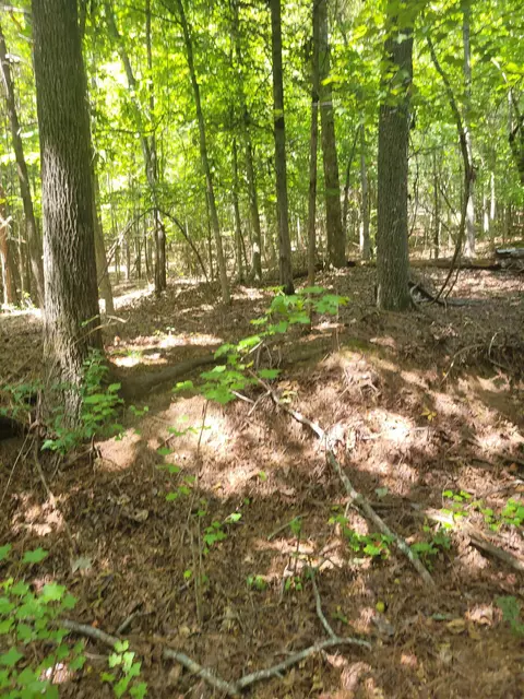 Plantation Trail, Pacolet, SC 29372 photo 6