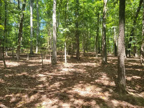 Plantation Trail, Pacolet, SC 29372 photo 15