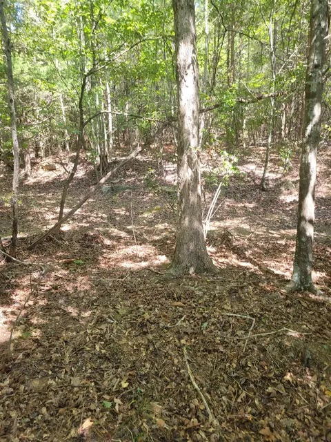Plantation Trail, Pacolet, SC 29372 photo 4