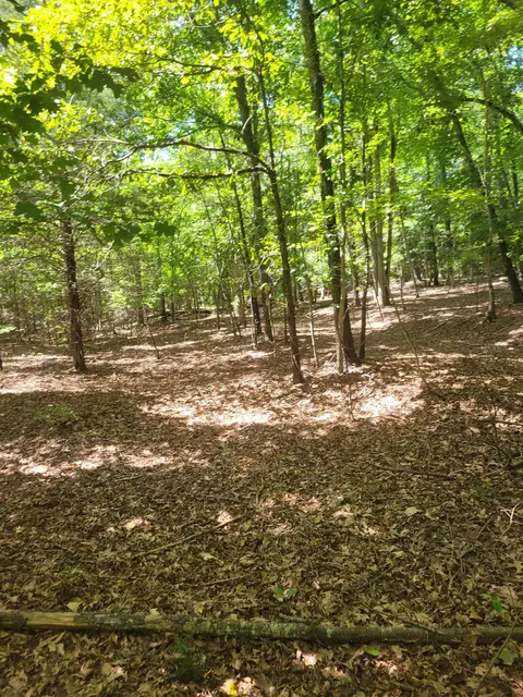 Plantation Trail, Pacolet, SC 29372 photo 16
