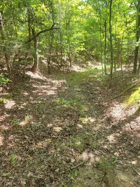 Plantation Trail, Pacolet, SC 29372 photo 8