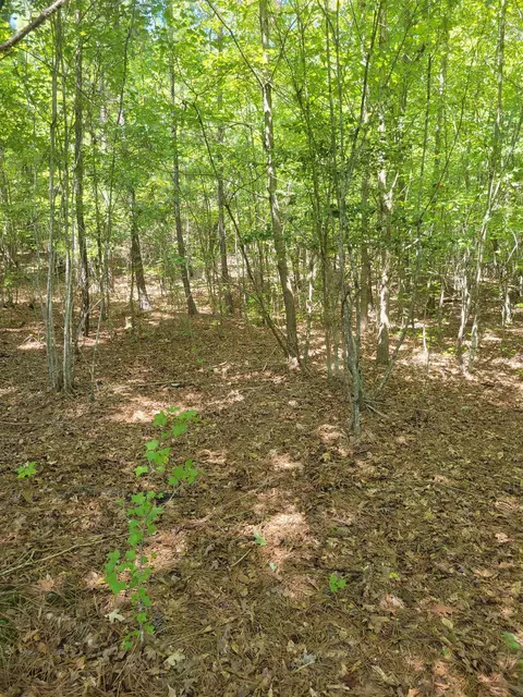 Plantation Trail, Pacolet, SC 29372 photo 17