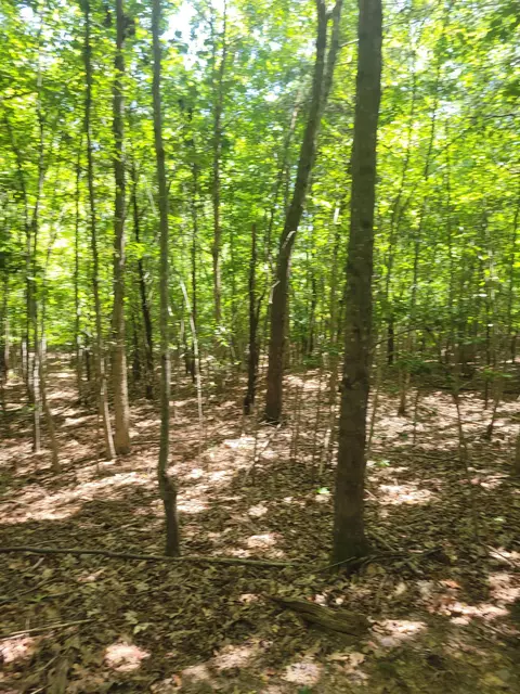 Plantation Trail, Pacolet, SC 29372 photo 11
