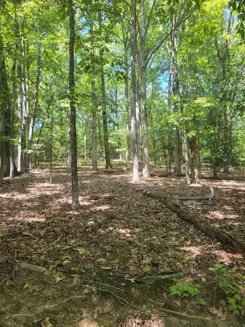 Plantation Trail, Pacolet, SC 29372 photo 12