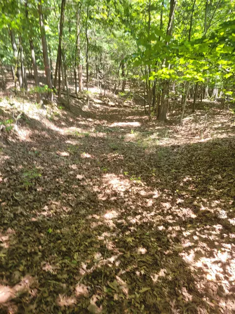 Plantation Trail, Pacolet, SC 29372 photo 10