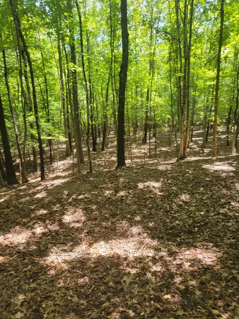 Plantation Trail, Pacolet, SC 29372 photo 13
