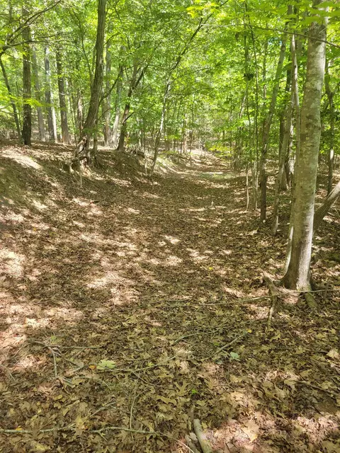 Plantation Trail, Pacolet, SC 29372 photo 6