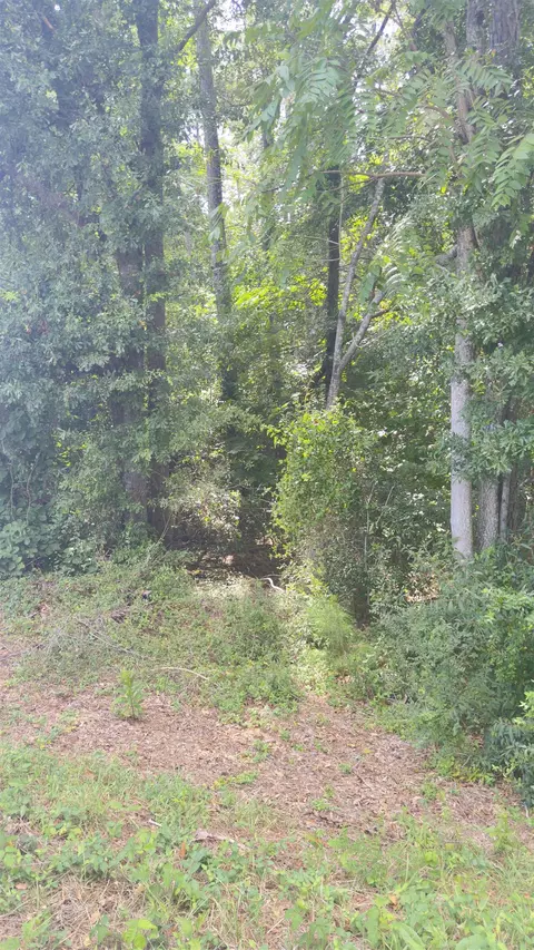 162 Stoneridge Dr, Chesnee, SC 29323 photo 24