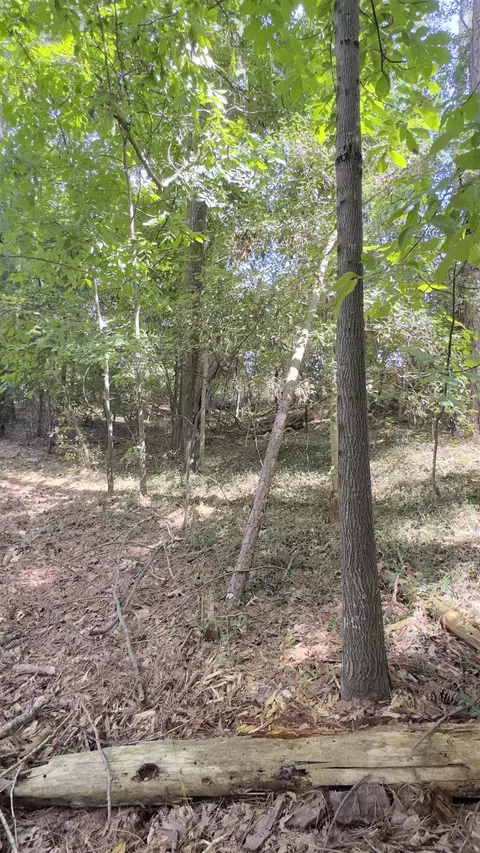 162 Stoneridge Dr, Chesnee, SC 29323 photo 26