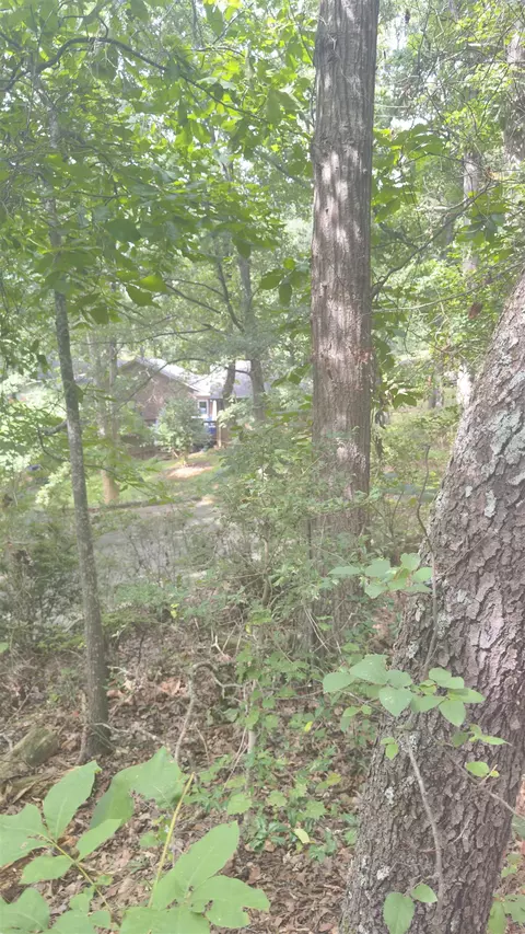 162 Stoneridge Dr, Chesnee, SC 29323 photo 12