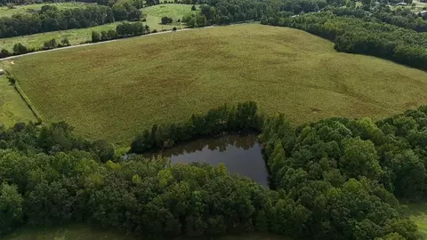 1710 Fairfield Rd, Chesnee, SC 29323 photo 4