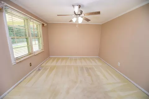217 Pleasant Dr, Greer, SC 29651 photo 20