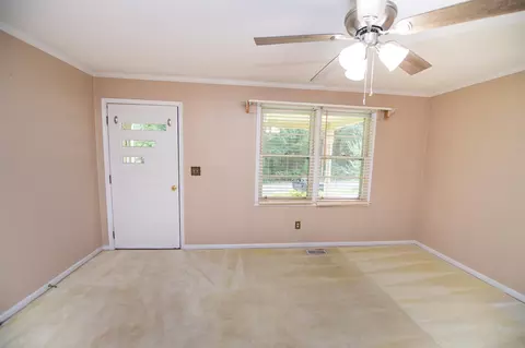 217 Pleasant Dr, Greer, SC 29651 photo 22