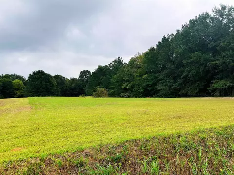 00 New Cut Rd, Campobello, SC 29322
