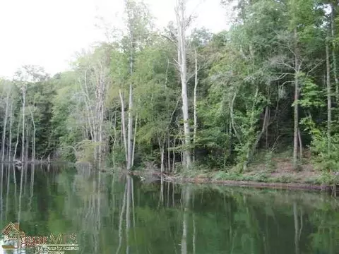 140 Lakeshore Dr, Chesnee, SC 29323