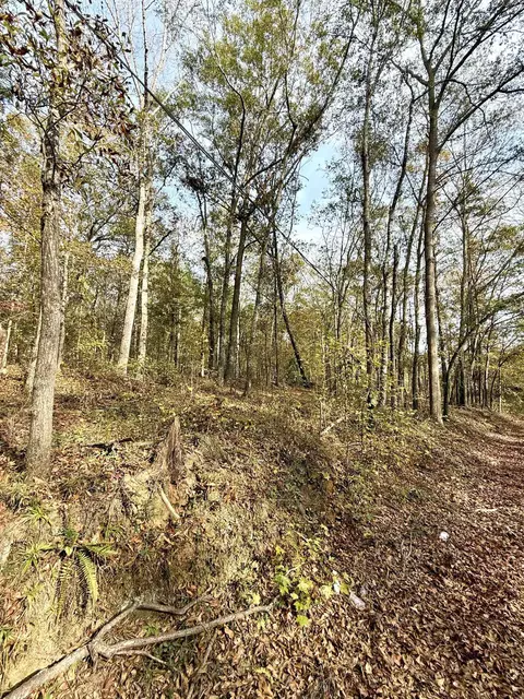 0 Santee St, Cowpens, SC 29330
