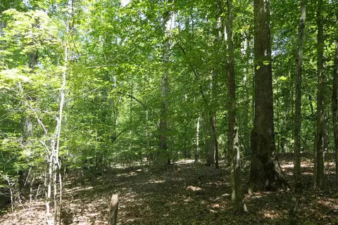 Jerusalem Road, Pacolet, SC 29372 photo 7
